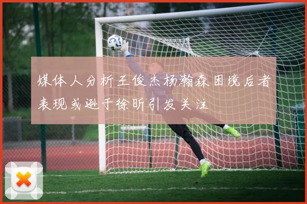 媒体人分析王俊杰杨瀚森困境后者表现或逊于徐昕引发关注